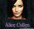 /album/fotogalerie/alice-cullen-jpg/